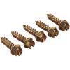 Ledo varžtai Gold Screws (250 vnt.)